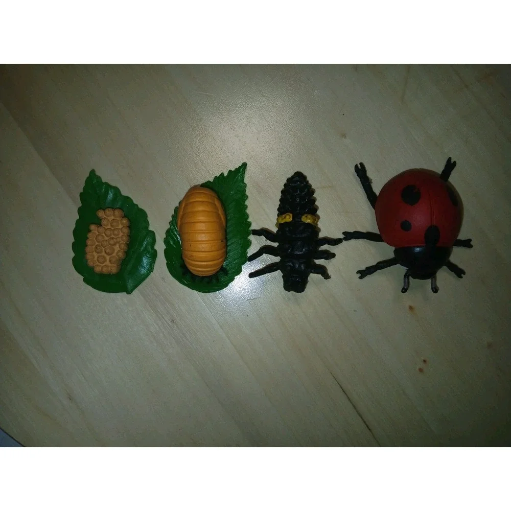 Life Cycle Of A Ladybug Figures Safari Ltd NEW Toys Collectibles Kids Education